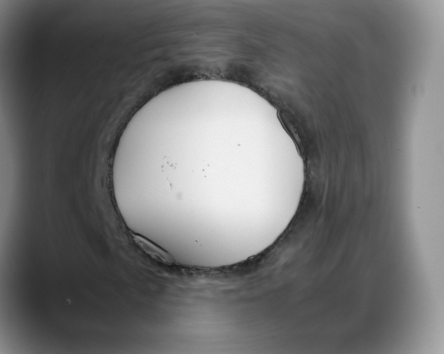 X0000088421057200706121428