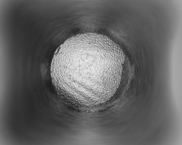 X0000088421059200706121428