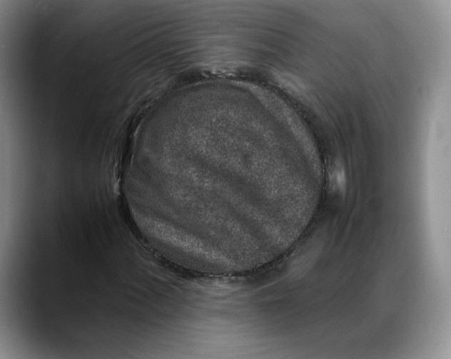 X0000088421060200706121428