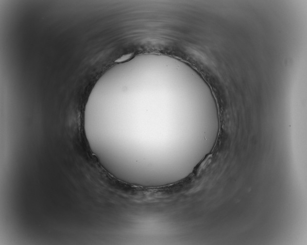 X0000088421061200706121428