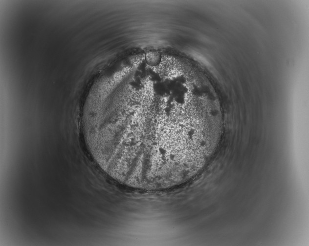 X0000088421063200706121428