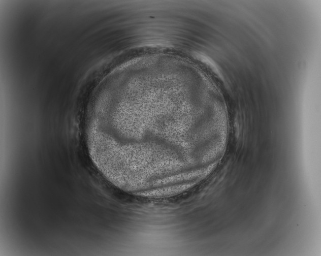 X0000088421064200706121428