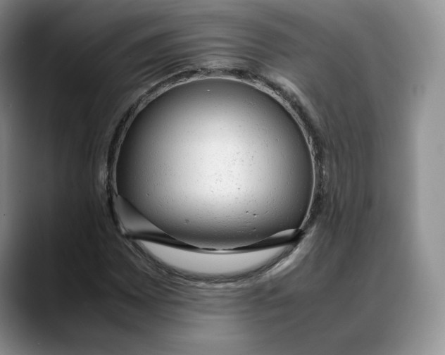 X0000088421065200706121428