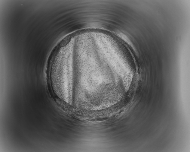 X0000088421068200706121428