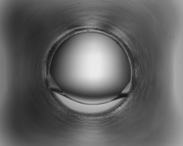 X0000088421069200706121428