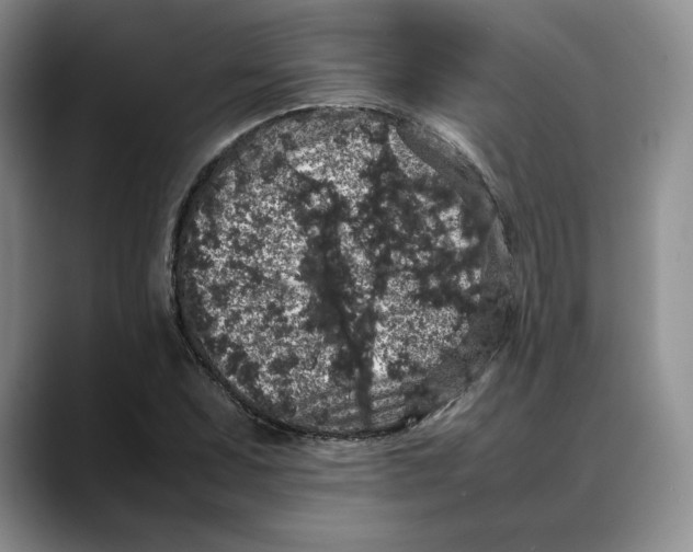 X0000088421071200706121428