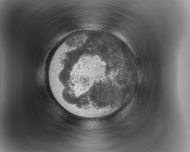 X0000088421074200706121428