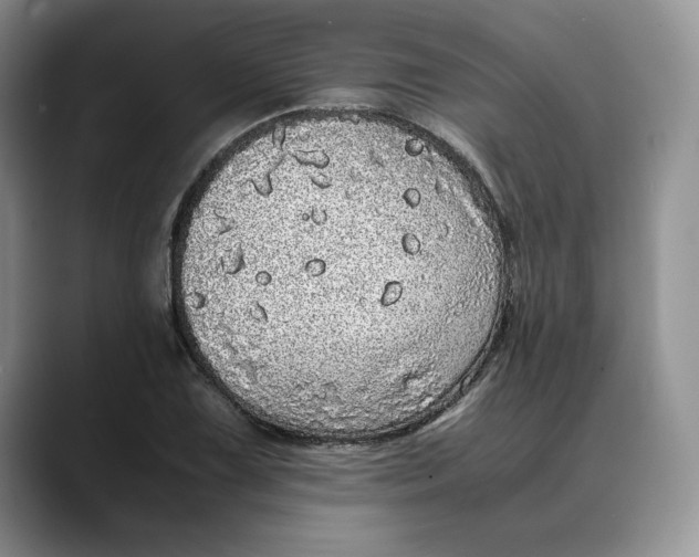 X0000088421075200706121428