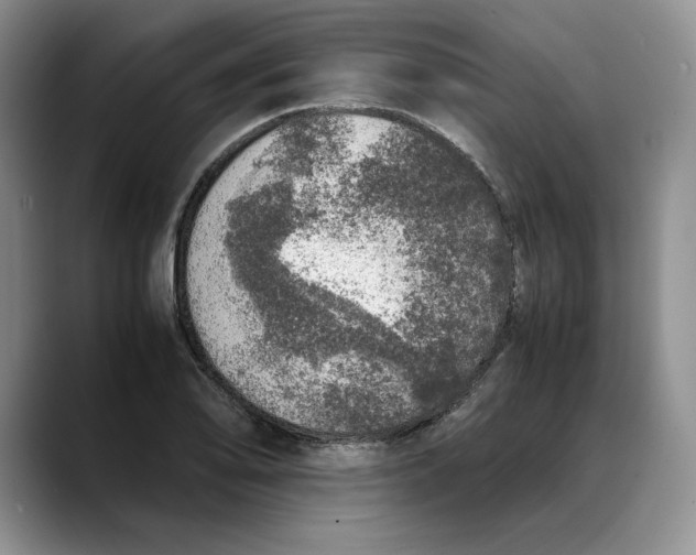 X0000088421078200706121428