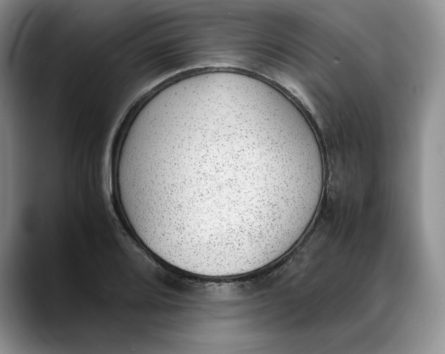 X0000088421080200706121428