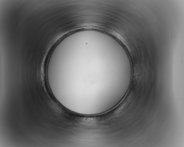 X0000088421082200706121428