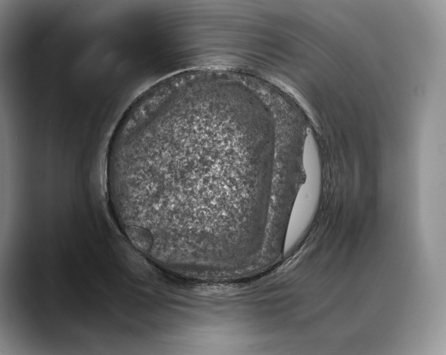 X0000088421083200706121428