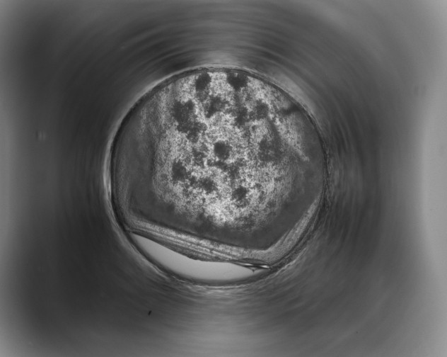 X0000088421084200706121428