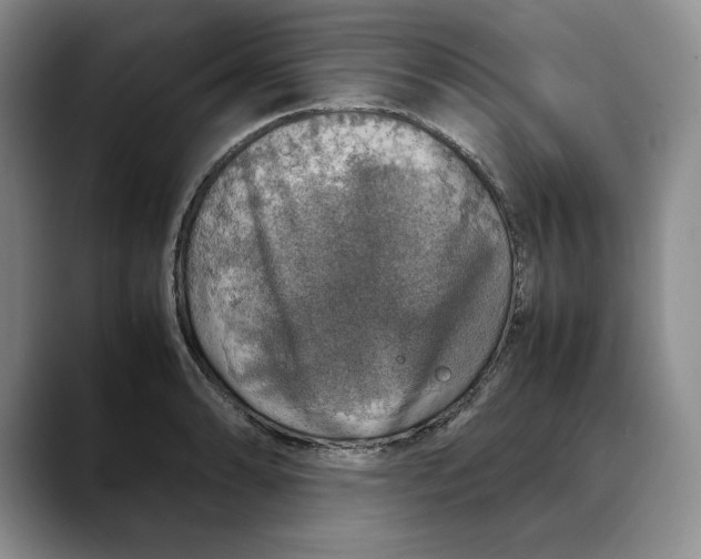 X0000088421086200706121428