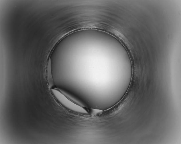 X0000088421089200706121428