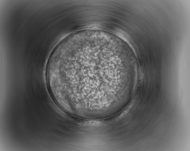 X0000088421090200706121428