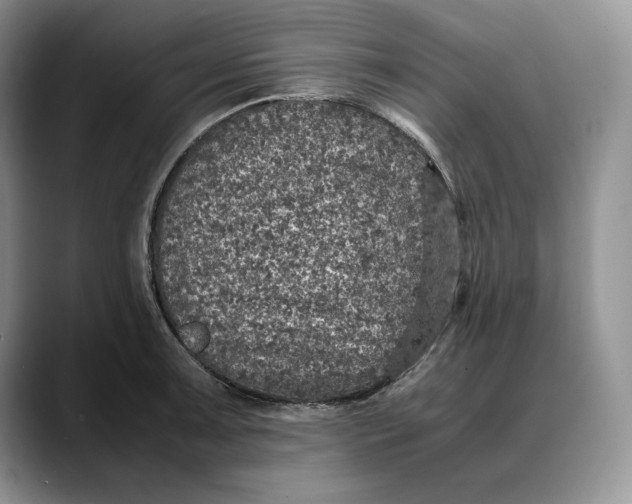 X0000088421091200706121428