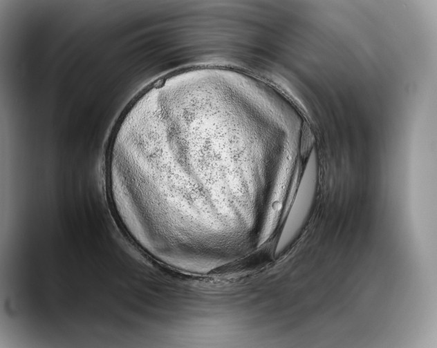X0000088421092200706121428