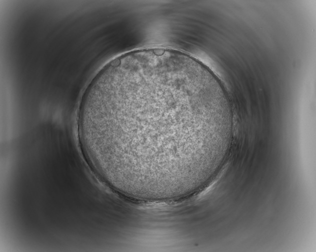 X0000088421094200706121428