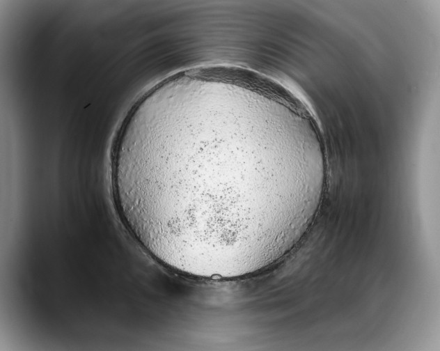 X0000088421096200706121428