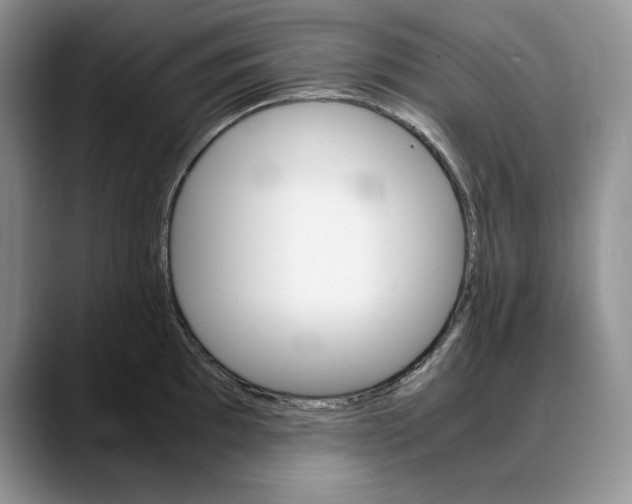 X0000088421097200706121428