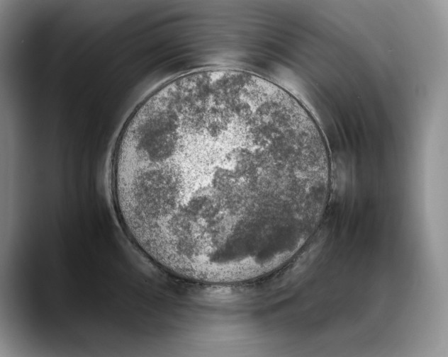 X0000088421098200706121428