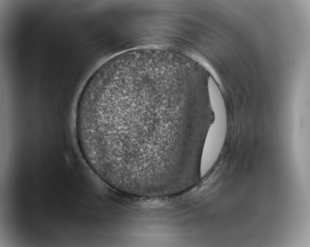 X0000088421099200706121428
