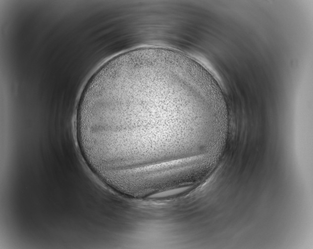 X0000088421100200706121428