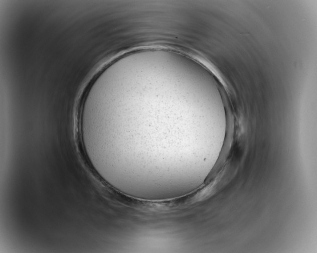 X0000088421101200706121428
