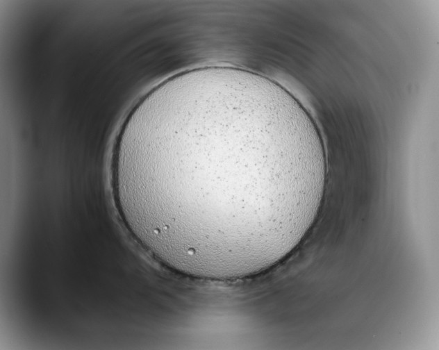 X0000088421104200706121428