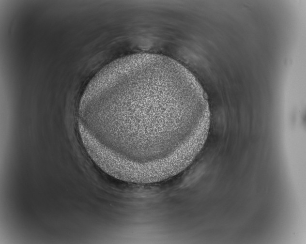 X0000088421105200706121427