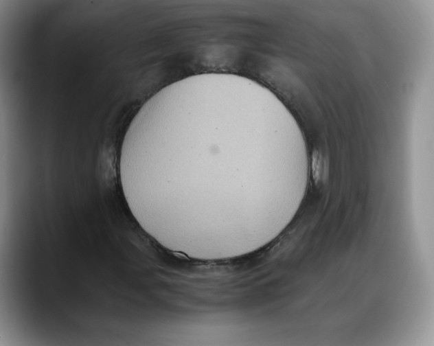 X0000088421107200706121427