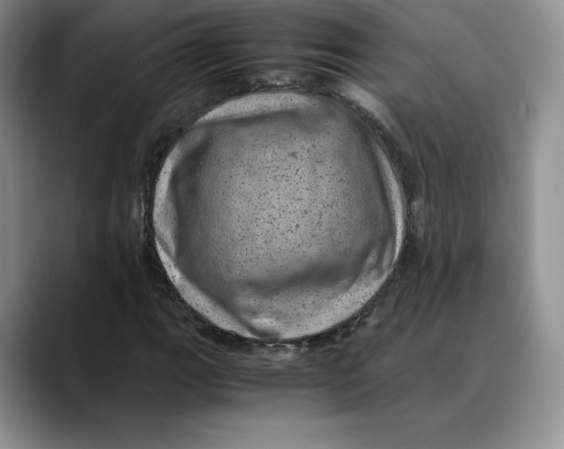X0000088421111200706121427