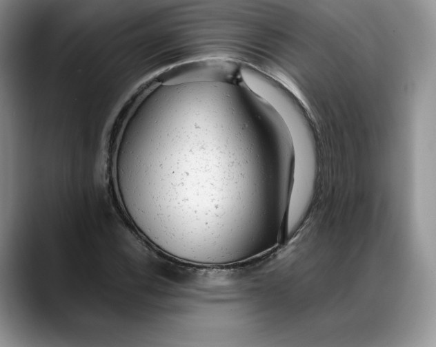 X0000088421116200706121427