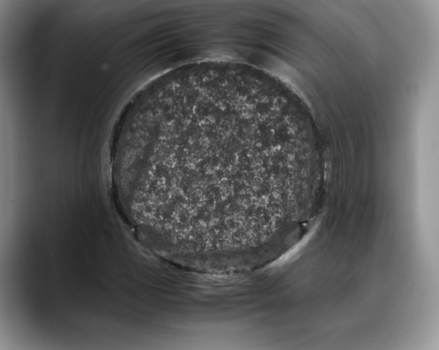X0000088421117200706121427