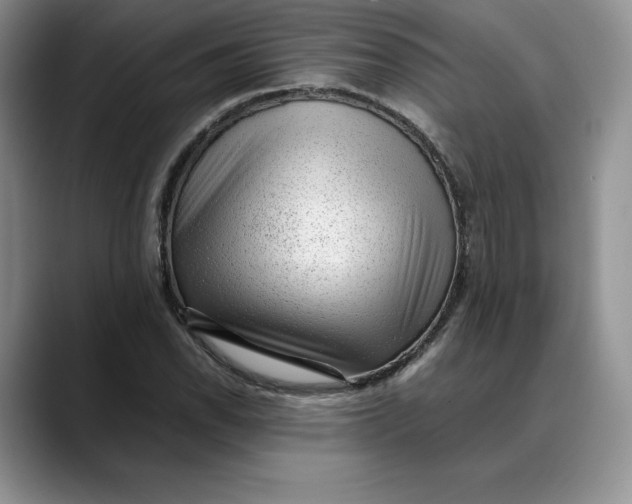 X0000088421118200706121427