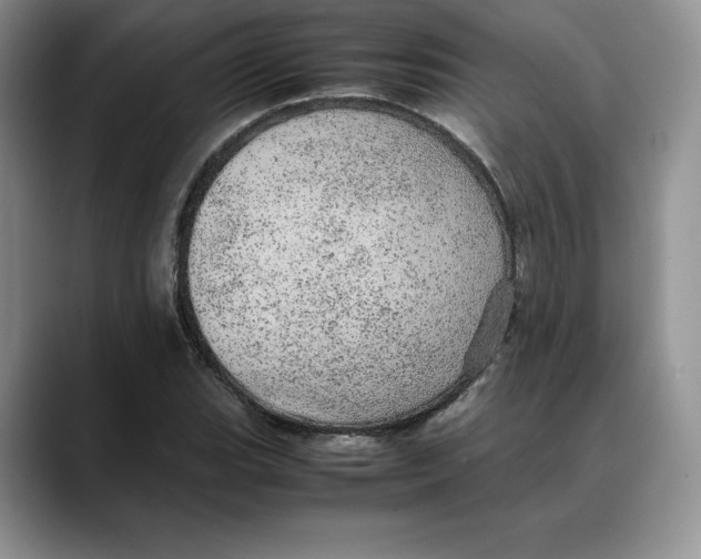 X0000088421119200706121427