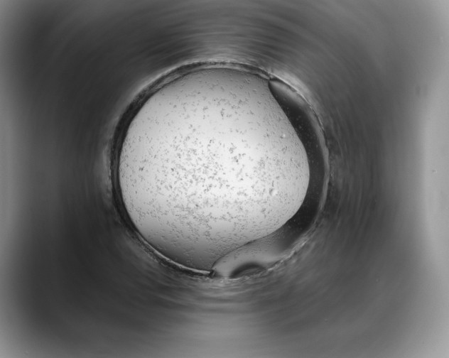X0000088421120200706121427