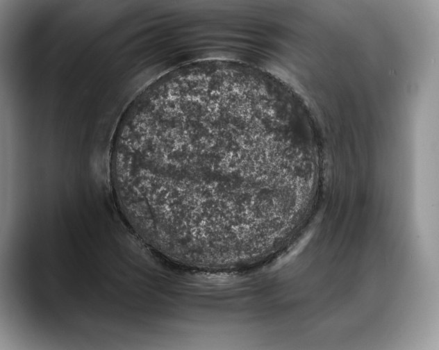 X0000088421121200706121427