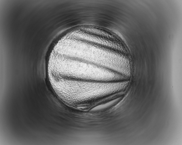 X0000088421123200706121427