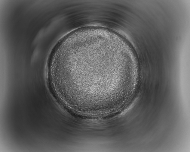 X0000088421125200706121427