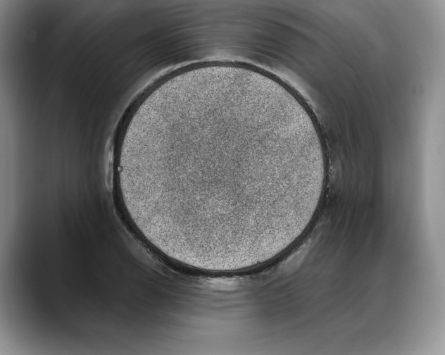 X0000088421126200706121428