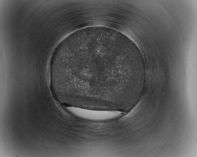 X0000088421127200706121428