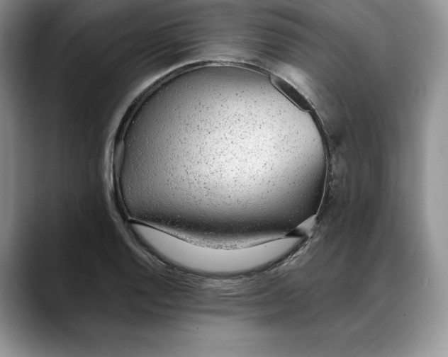 X0000088421128200706121428