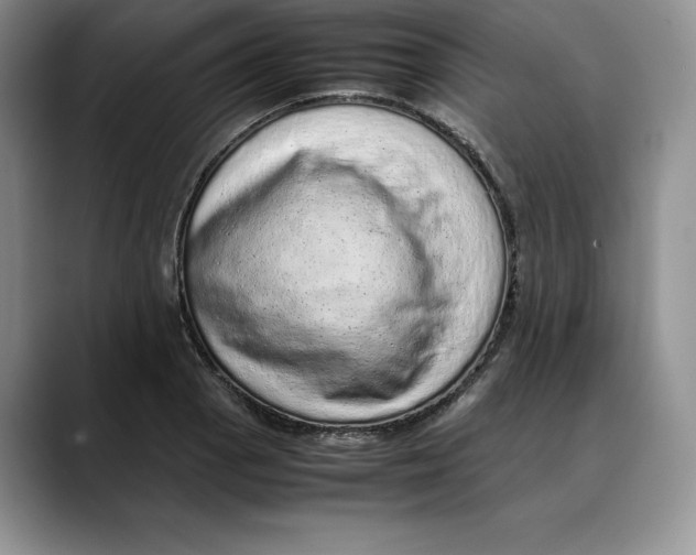 X0000088421129200706121428