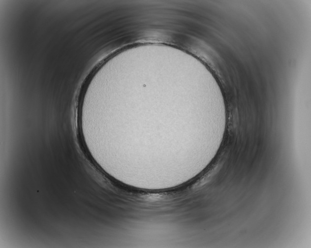 X0000088421130200706121428