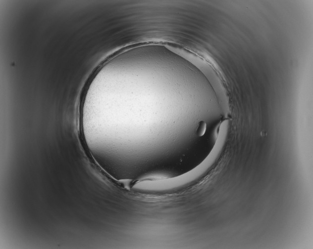 X0000088421132200706121428