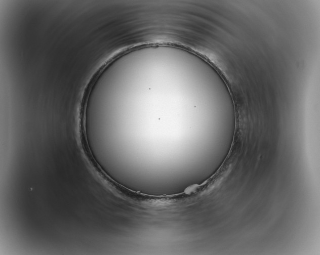 X0000088421134200706121428