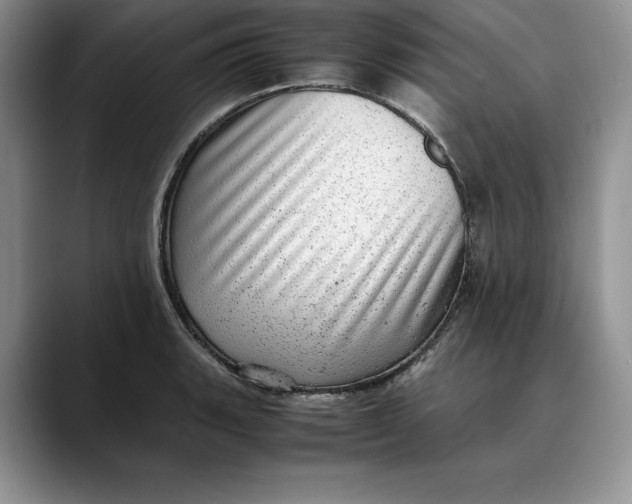 X0000088421135200706121428
