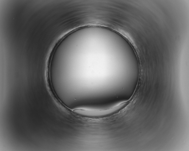 X0000088421136200706121428